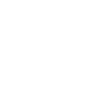 Logo Wydziału MFI